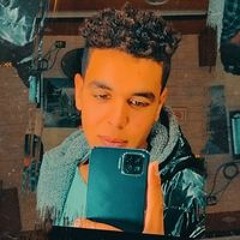 محمود سلامه