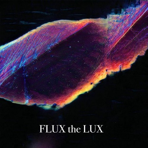 FLUX the LUX’s avatar