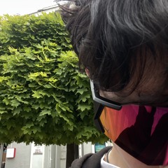 tridy