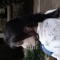 tduonq