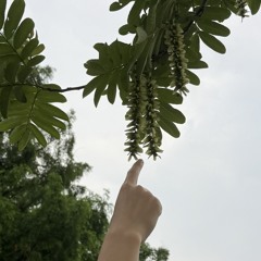 Ангелина Евсеева