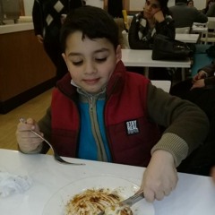 Amir Boules