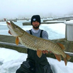Fishinmansam