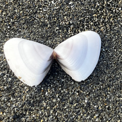 Fan6