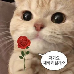 사랑해