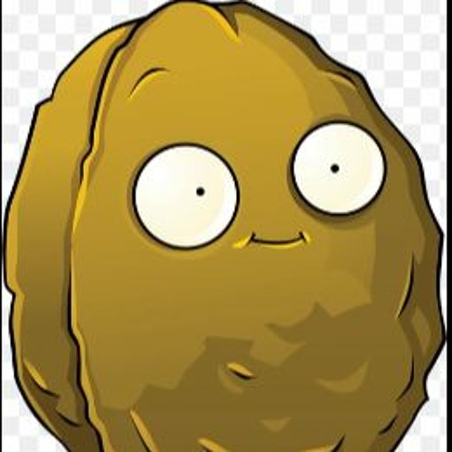 wall-nut’s avatar