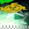 ▞ ☽⛧𓅓🜏⸸𝕸𝖆𝖈𝖗𝖔𝖕𝖛𝖕⸸🜏𓅓⛧☾ ▞