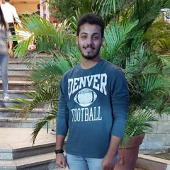 Hassan Abd Elmageed