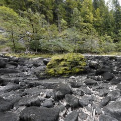 LordWald