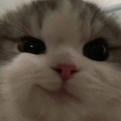 떠웅애