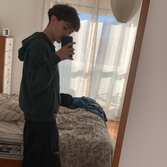 dinisferreria8