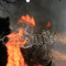 bardia_7_7