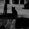 Black Shadow