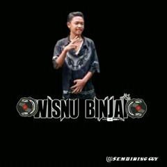 wisnu binjai