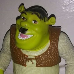 C4RNIGE