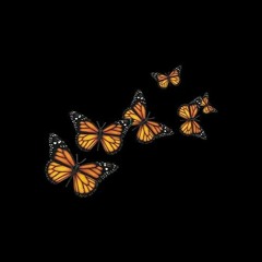 (prod. sora)
