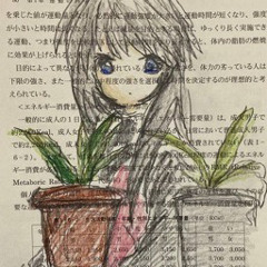 bekai