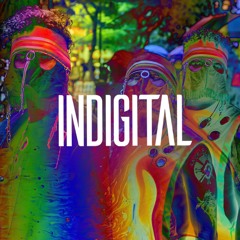 indigital