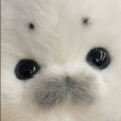 トイレそうじ担当