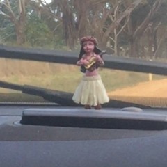 we're not called shrimp piss