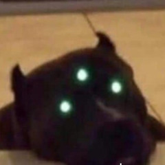 LeviHF