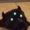 LeviHF