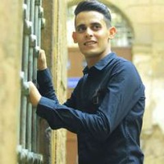 حسين المصري