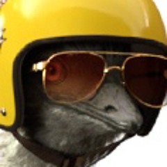 Emu With Sunglasses
