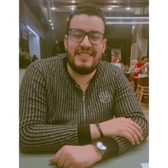 hassan elsaeed