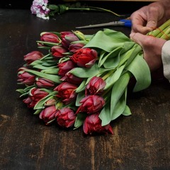 فلان