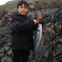 Smythi