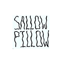 Sallow Pillow