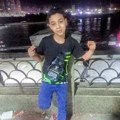السيد محمود السيد