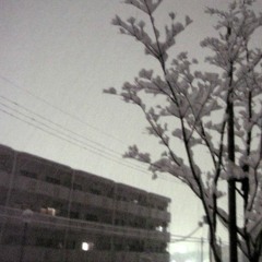 qw-pgd