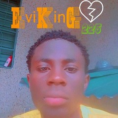 EviKinG 225