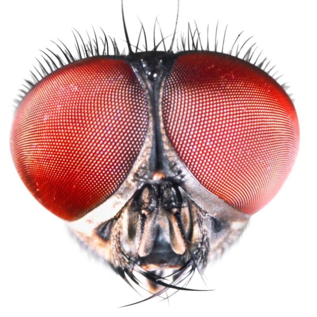 Stream zxzv music | Listen to songs, albums, playlists for free on