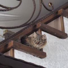 tы знаешь (слайм)