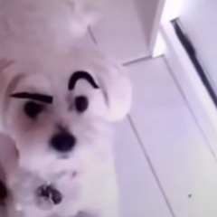 JoJoj Ayyeee