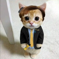 better call cat  goodman