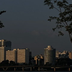 시차 cover