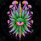 xtc Music