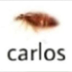 CarlosBarata