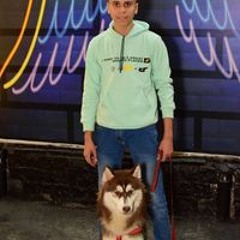 Yosef Taha