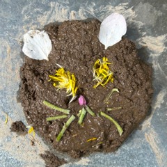 Erlingsan har ghosta meg