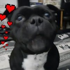 Jax Flynn