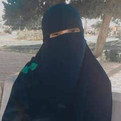 Alaa M Mahmoud