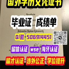 #海牙认证 #diploma #毕业证 #transcript #成绩单 #文凭