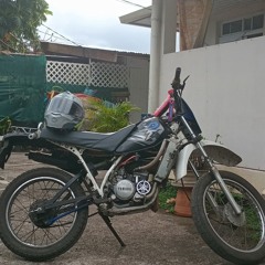 Naki veriner