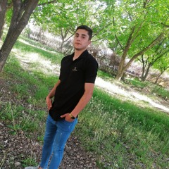 mr.ashkan
