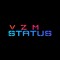 VZM STATUS